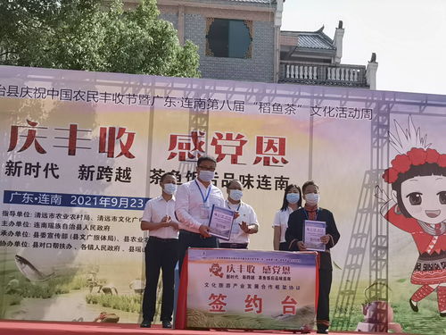 連南第八屆稻魚茶文化活動周盛大開幕，推動文化藝術交流新篇章
