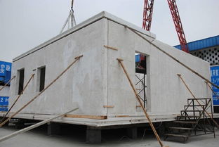 8小時(shí)修建180㎡毛坯別墅,成本不到傳統(tǒng)建材一半,質(zhì)量卻翻